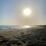Vibra Delta *