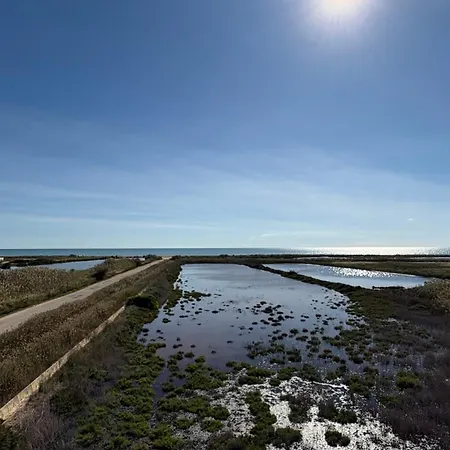 Vibra Delta *