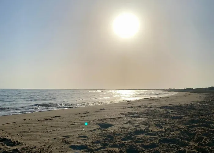 Vibra Delta *